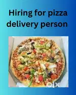 PIZZA DELIVERY PERSON
