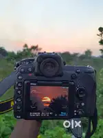 nikon d500 + 500mm lens