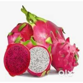 Organic and Fresh  Dregaon Fruits.