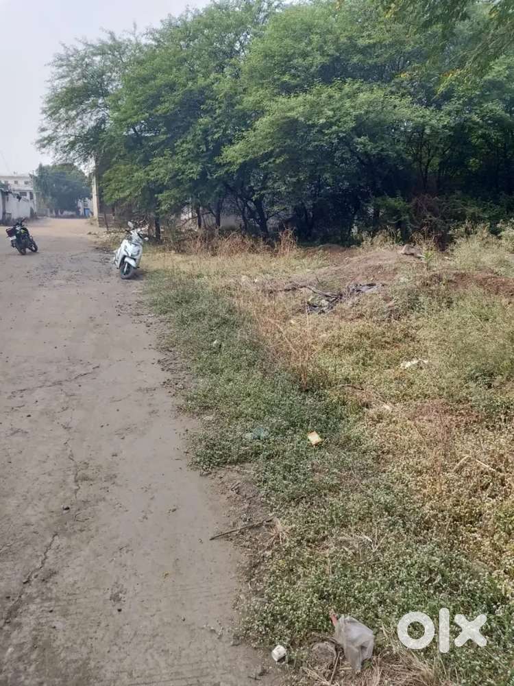 13000 sqft plot sell lasudiya parmar