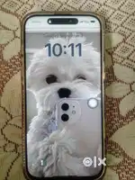 Urgent sell