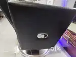Salon chairs