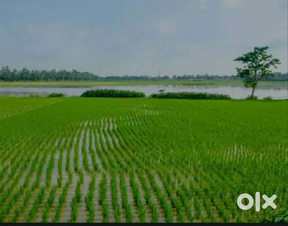 Kheti jamin ( मोल भाव कर सकते हैं)