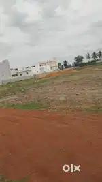 NUDA APPROVED LAYOUT IN DHANALAXMI PURAM     infront  right  side