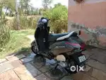 Honda activa 6g(110cc) in S colour