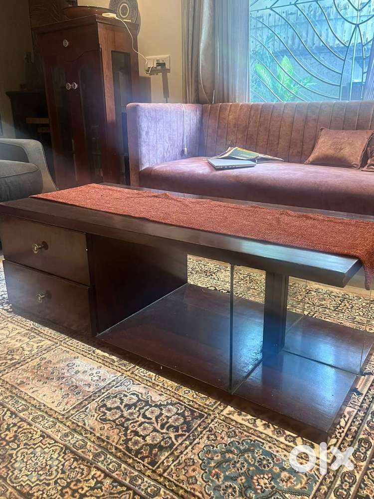 Modern Wooden Coffee Table with Storage