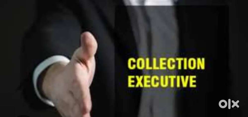 Collection Executive