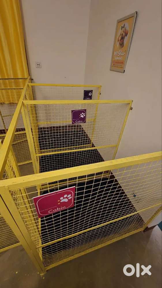 Direct Joining CARETAKER for Dog Hostel