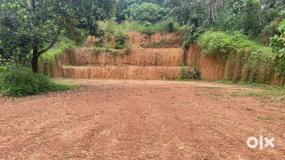 ഉളിക്കലിൽ 15 സെന്റ്  സ്ഥലം വില്പനയ്ക്.