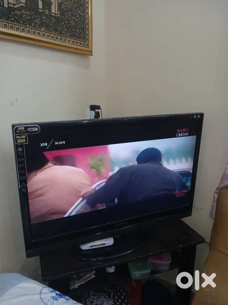 Moserbear television