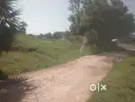 My land sale
