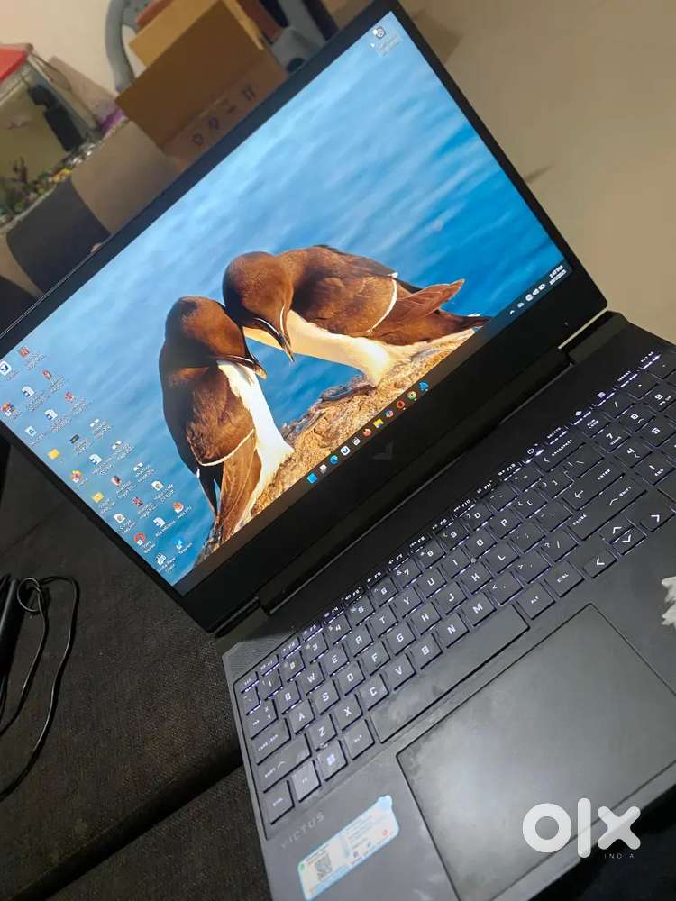 Hp victus Ryzen 5