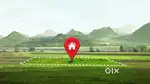 Plot for sale Kharija Dolaigaon
