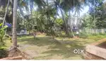 11 cent square plot in pappinisseri.