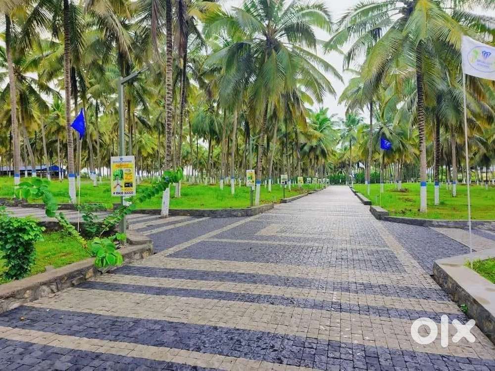 Best Investment Farmland For Sale in Nachipalayam