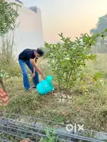 254 Gaj Plot for sale on Miran kot road amritsar