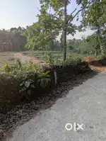 Plain land 85 cent suitable for house construction