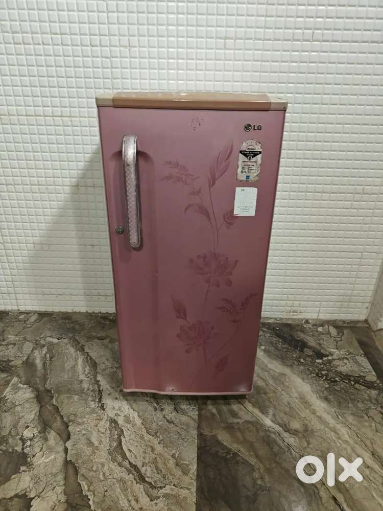 Post 789 LG Single Door Freeg