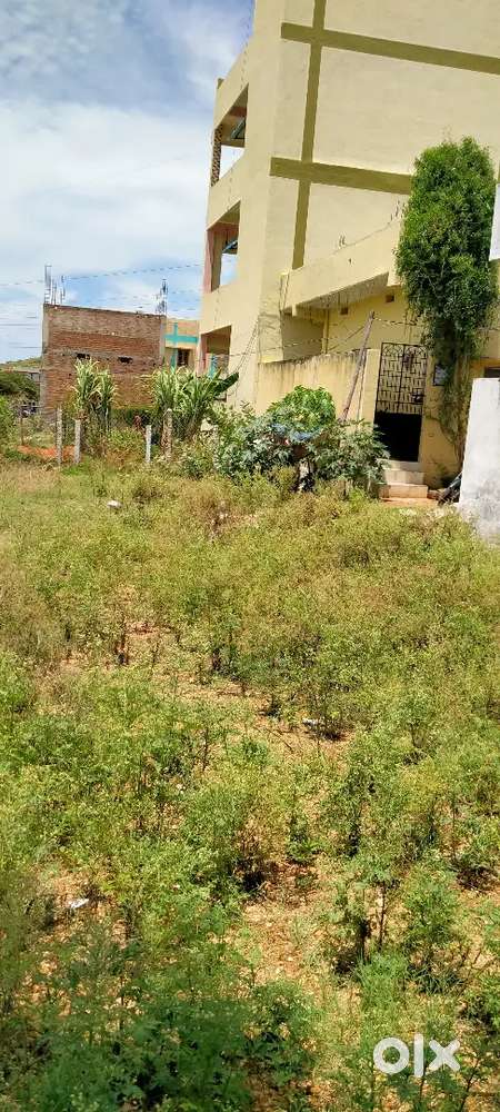 మదనపల్లి జిల్లా కాబోతుంది, ఊరు మధ్యలో అన్ని సౌకర్యాలు కు అనుకూలం