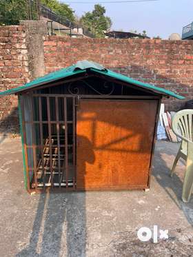 Dog House in Shyamkhet Bhowali