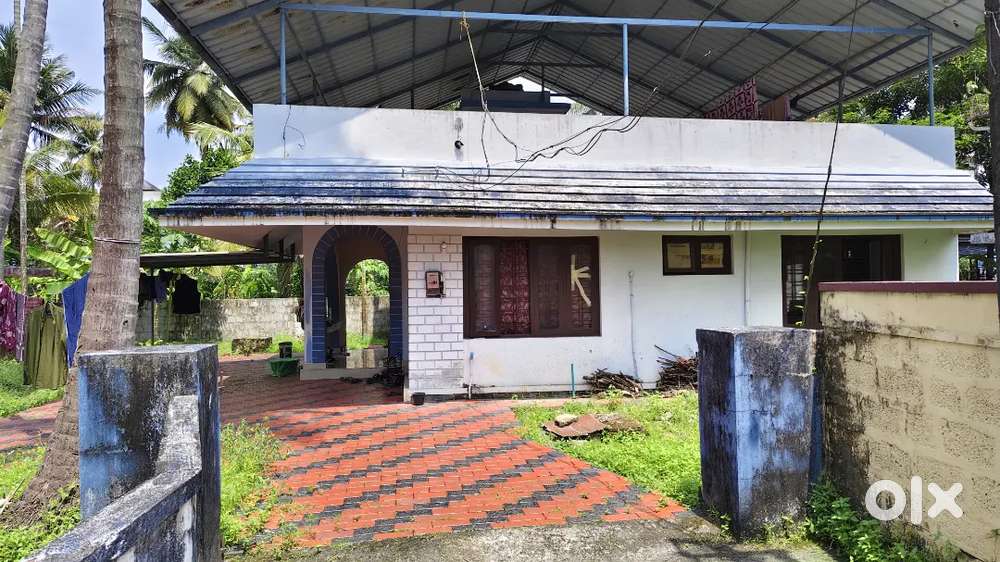 Residential Land for Sale at Petta, Trippunithura 9.5 Cents