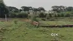 Plot on sell