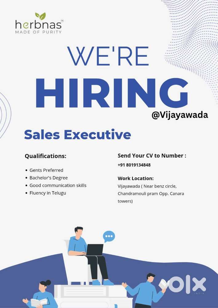 Sales Executive