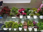 Artificial flowers