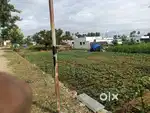 25 Cents Farm Land for Sale – Kolathur, Mettur