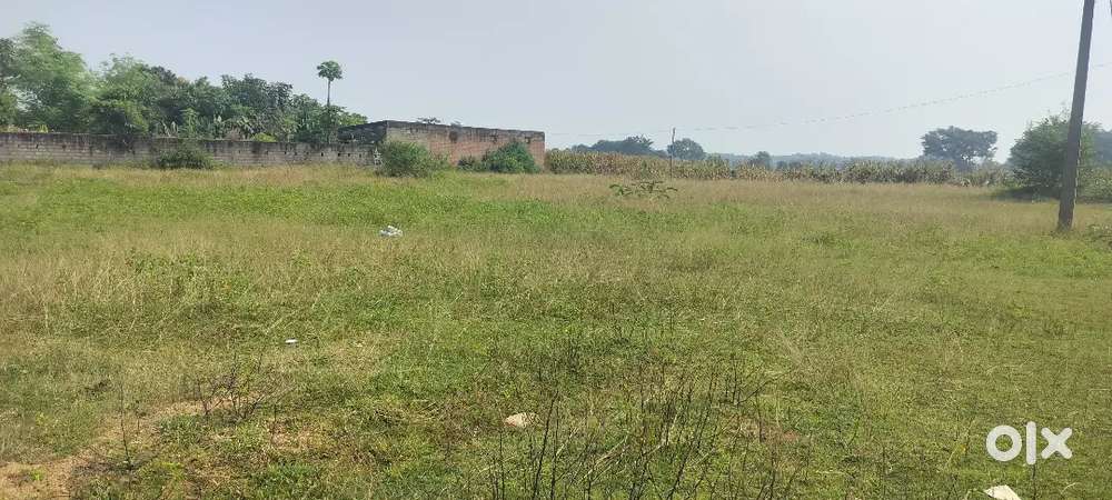 Ghar ya business ke liye ,17 डिसमिल का सिसई बसिया रोड में सुंदर प्लाट।