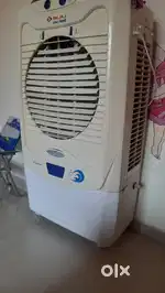 Bajaj collest coller