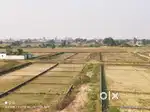 Rajgir palace Nalanda University near