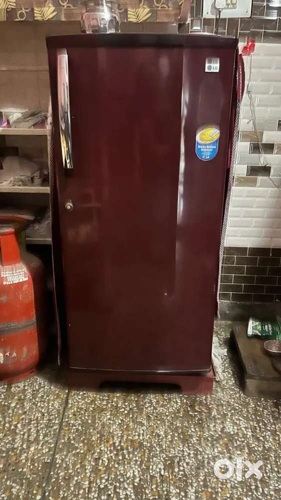 Lg company frige