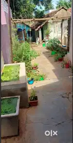 Rent house
