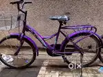 Pink  colour with basket