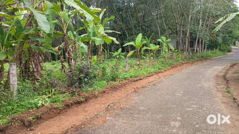 “Beautiful 30-Cent Residential Plot for Sale – Peaceful Location!”