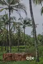 8 cent housing Plot at Puthiyagadi kannur