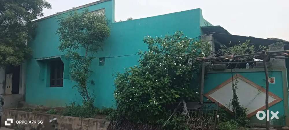 80 ankanas land for sale registered land, negotiable