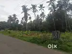 LAND FOR SALE 45 CENT 1 KM FROM TOWN