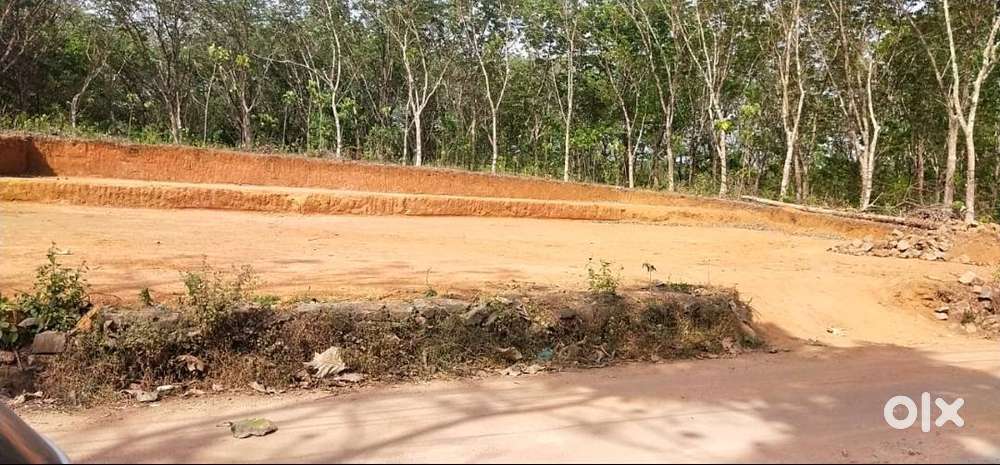 plot for sale in south Vazhakulam