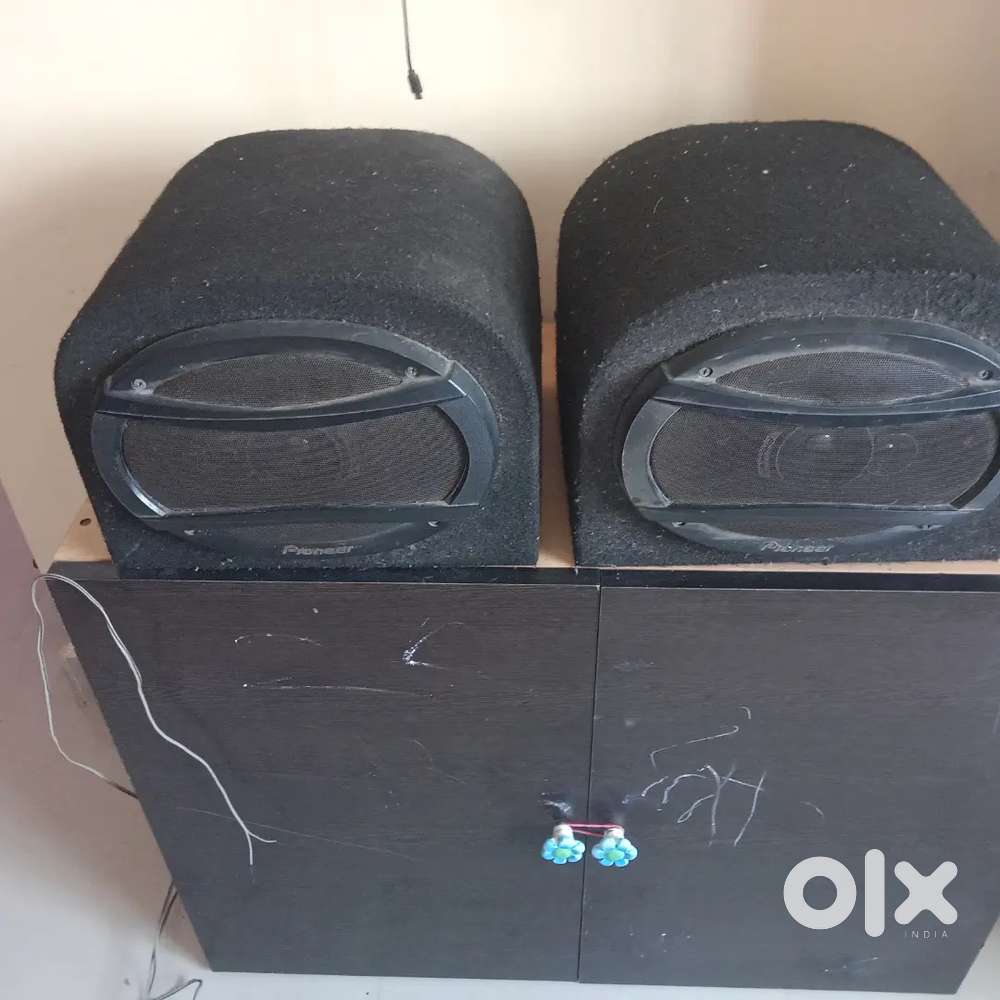 Pioneer speaker