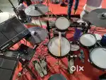 Alesis Crimson ii