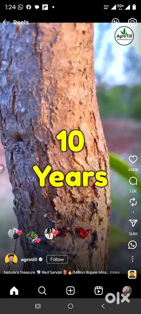 Income project plots