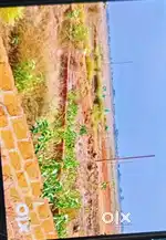 Gharabari plot for sale