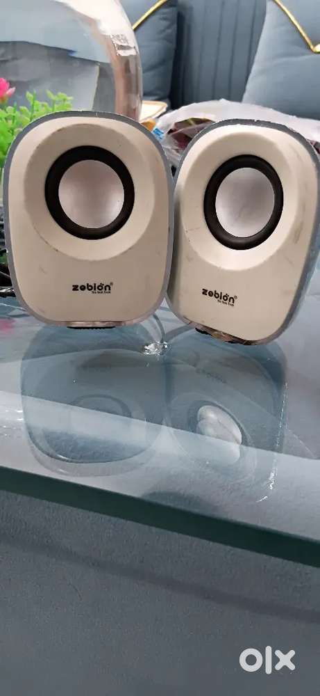 Zebion speaker's