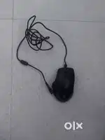 Mouse RJB wired