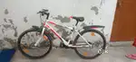 Cycle leader