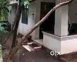 Vengeri 5.75 Cent 3 Bed House