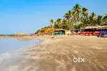 An opportunity to get best services for Hotels Goa