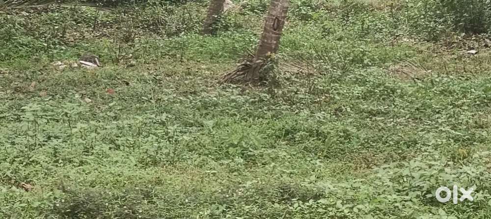 Plot for sale at edappally